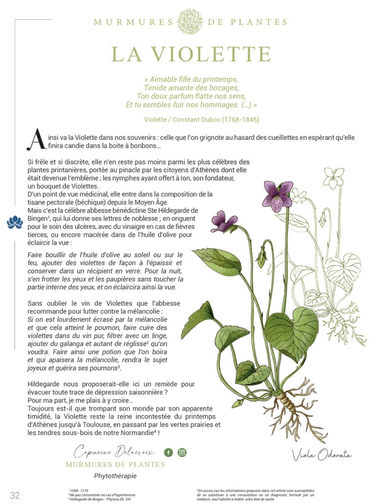 La Violette – Murmures de Plantes | Capucine Delacroix